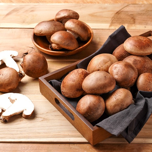[1급수버섯농장] 생표고버섯 가정용/선물용 1kg